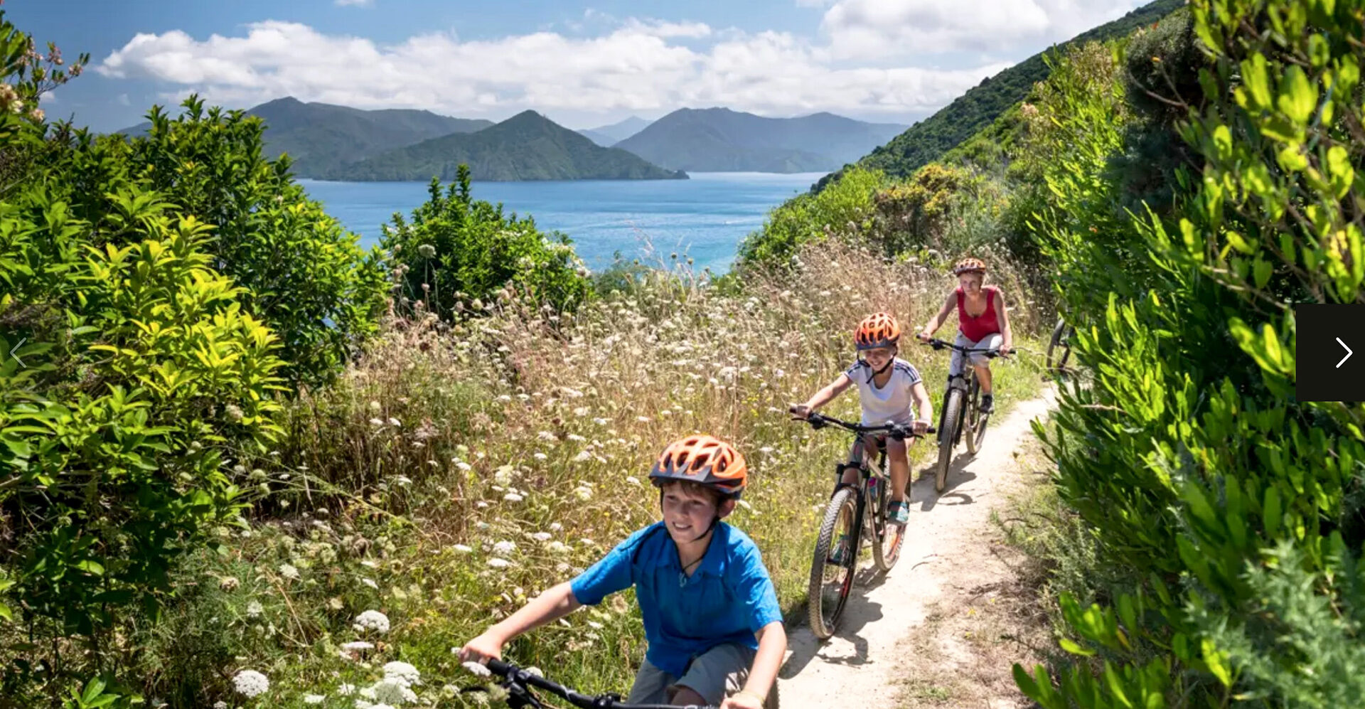 Biking the Snout Track in Picton's Victoria Domain (credit MarlboroughNZ) Family riding the Snout Track in Victoria Domain, Picton, New Zealand.
