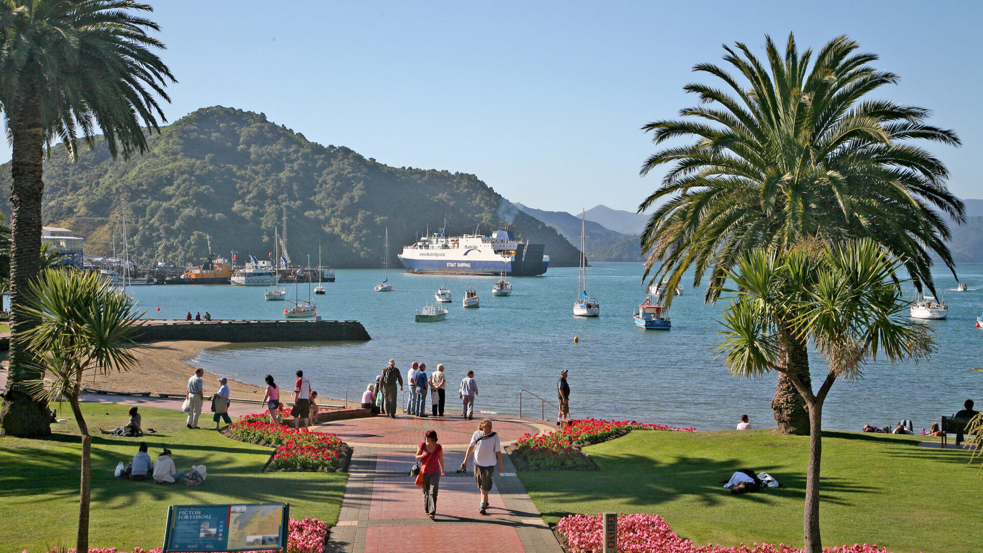 Picton Foreshore (credit W Bulach) Pretty Picton foreshore with palm trees an harbour.
