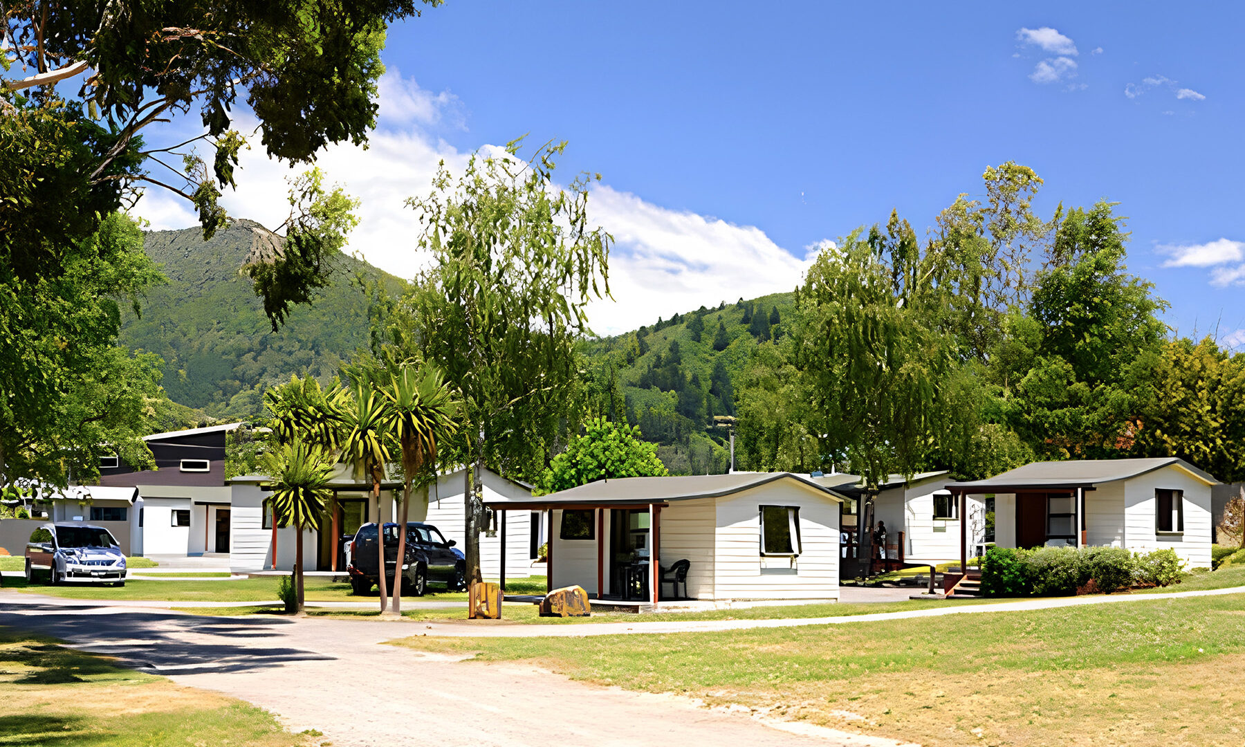 Chalets and cabbage trees at the Picton TOP 10 Holiday Park. Chalets and cabbage trees at the Picton TOP 10 Holiday Park.